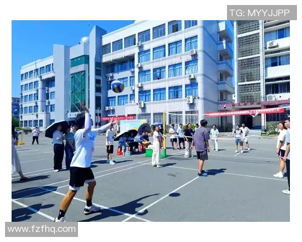 南京排球队团队协作新模式引发热议助力竞技水平提升